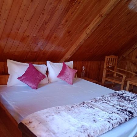 Forest View Cottage Jibhi Buitenkant foto