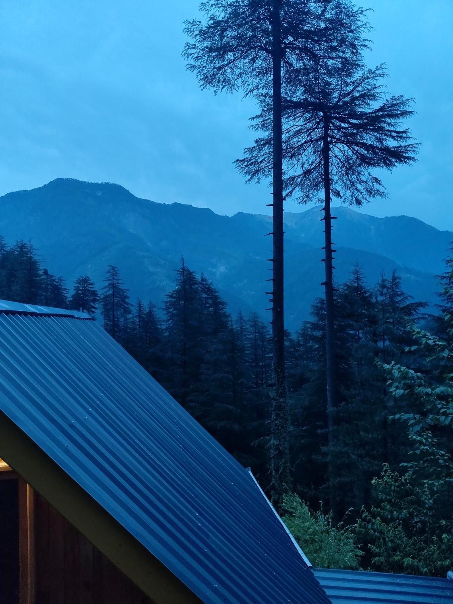 Forest View Cottage Jibhi Buitenkant foto