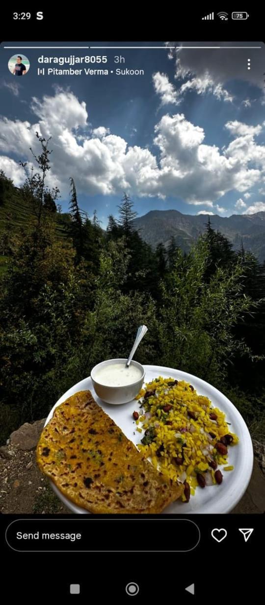 Forest View Cottage Jibhi Buitenkant foto