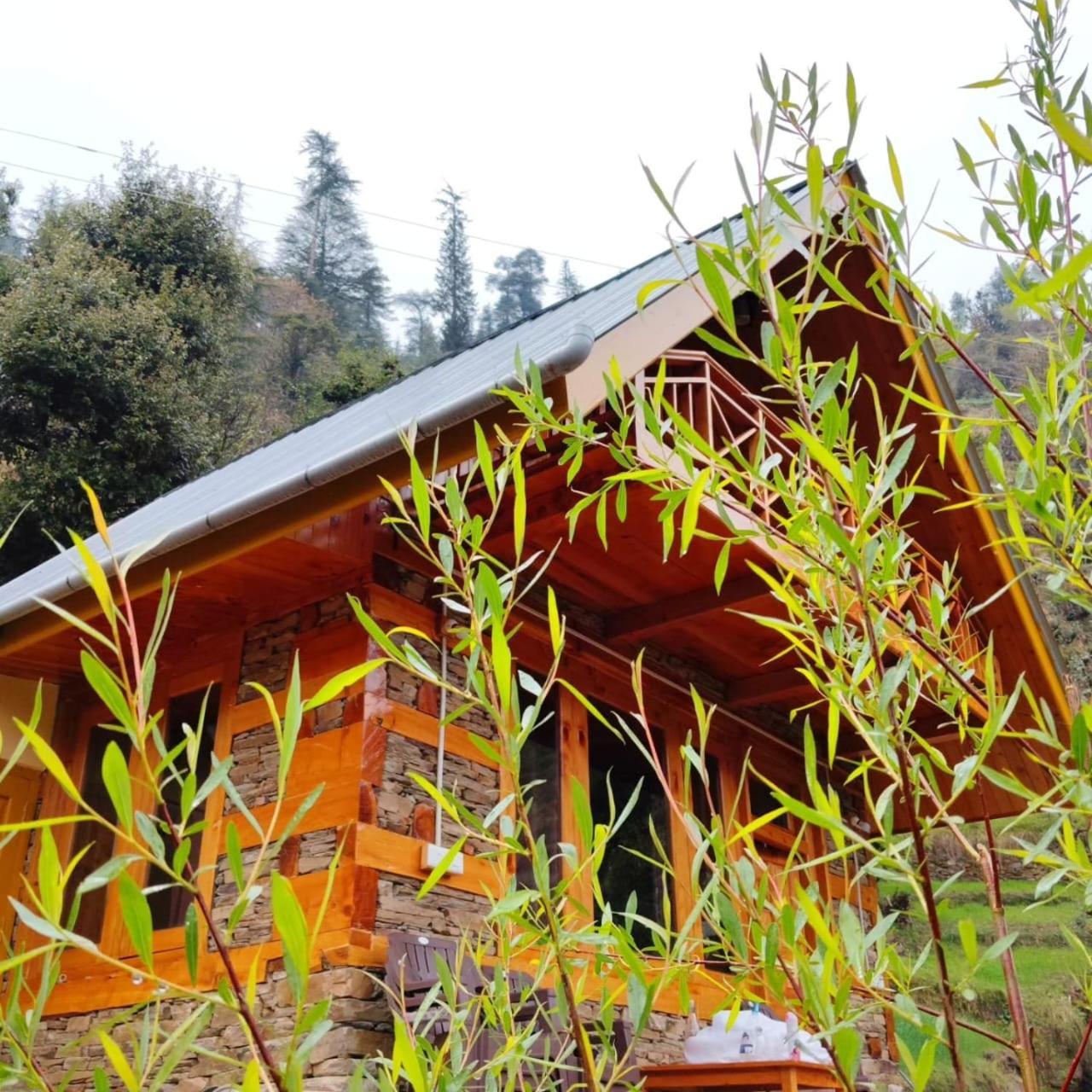 Forest View Cottage Jibhi Buitenkant foto