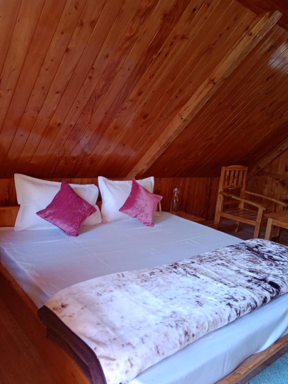 Forest View Cottage Jibhi Buitenkant foto