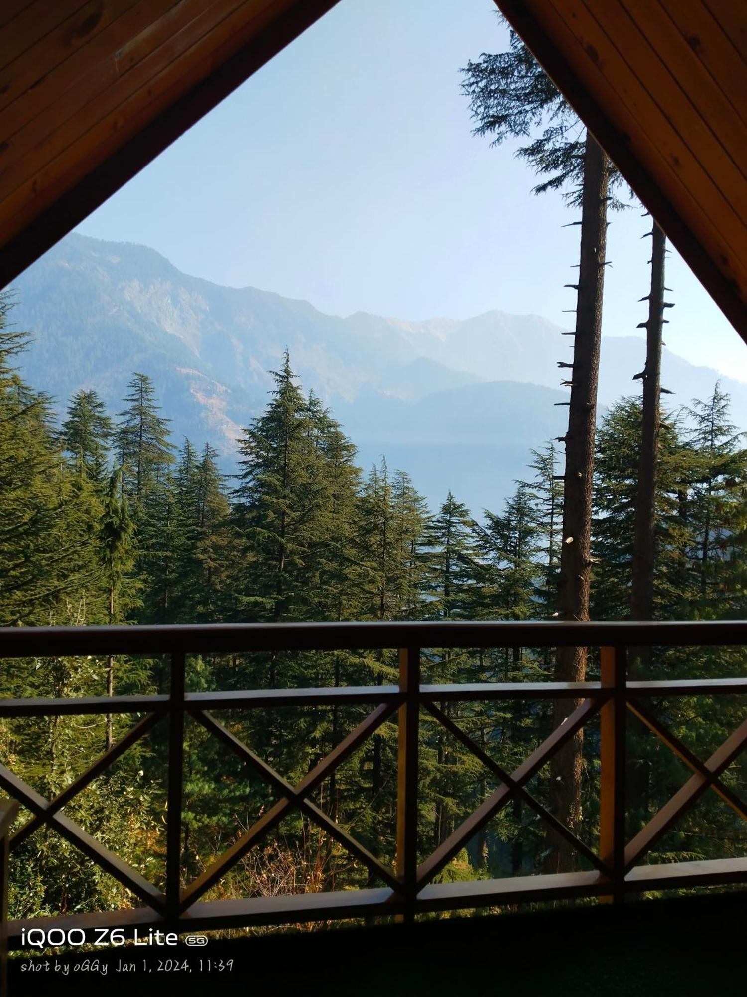 Forest View Cottage Jibhi Buitenkant foto